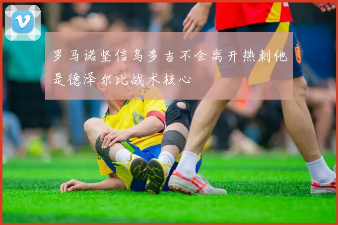 罗马诺坚信乌多吉不会离开热刺他是德泽尔比战术核心